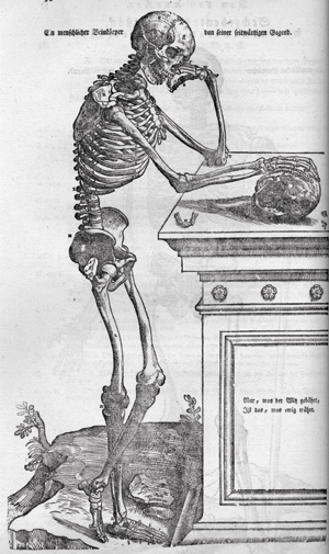 Szkielet frasobliwy, miedzioryt z druku:
Leveling Heinrich Palmaz, Anatomische Erklarung der Original Figuren Andreas Vesal … Ingolstadt 1783
Muzeum Mikołaja Kopernika we Fromborku