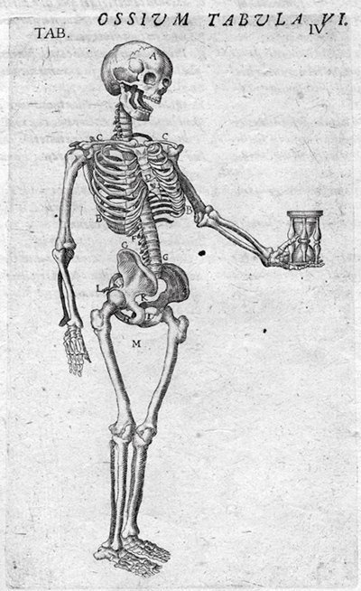 Szkielet z klepsydrą – tablica anatomiczna, miedzioryt z druku: Bauhin Caspar, Vivae imagines partium corporis humani aeneis formis expressae &ex theatro anatomico…, 1620. Muzeum Mikołaja Kopernika we Fromborku