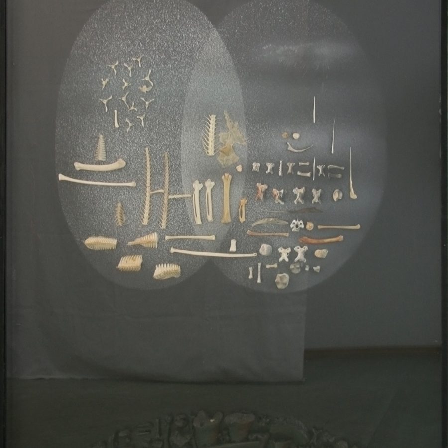 Jonasz Stern, Strefa I; technika własna, 1974