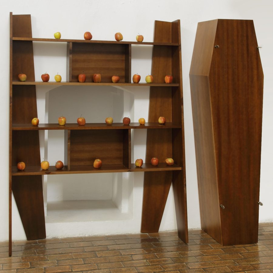 Projekt Williama Warrena pt. „Shelves for Live” („Półki dla życia”)