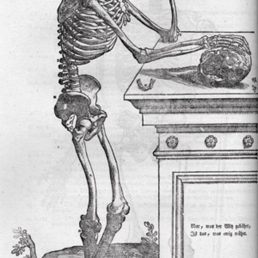 Szkielet frasobliwy, miedzioryt z druku:
Leveling Heinrich Palmaz, Anatomische Erklarung der Original Figuren Andreas Vesal … Ingolstadt 1783
Muzeum Mikołaja Kopernika we Fromborku